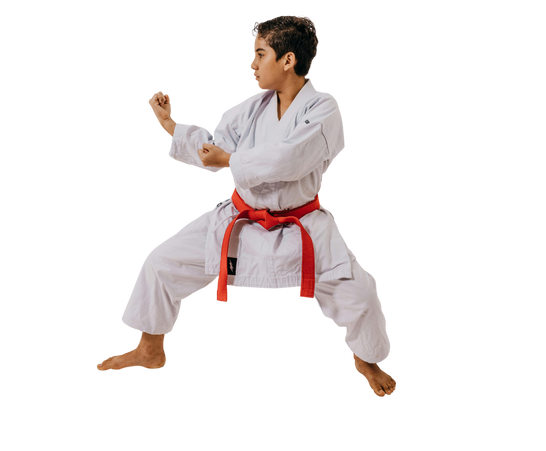 Martial Arts Combat Session